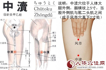 中渎穴的位置图