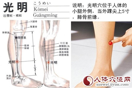光明穴位图