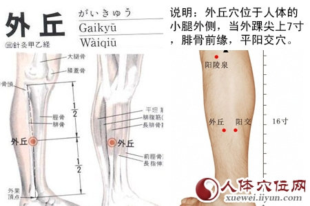 外丘穴的位置