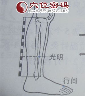 光明穴的位置