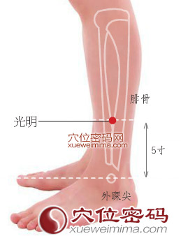 光明穴的准确位置图