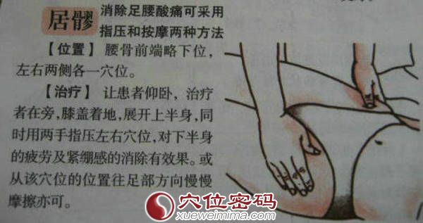 居髎穴位位置图