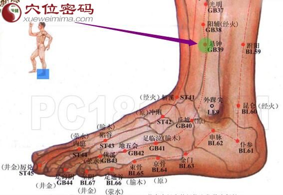 悬钟穴的准确位置图