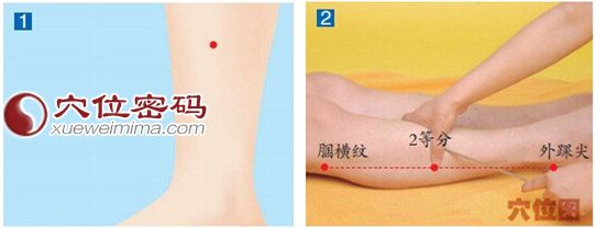 外丘穴位位置图