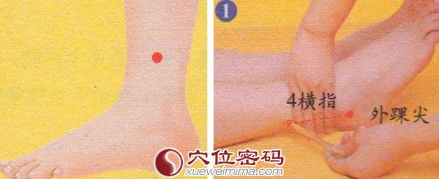 悬钟穴位位置图