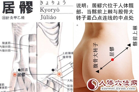 居髎穴的准确位置图