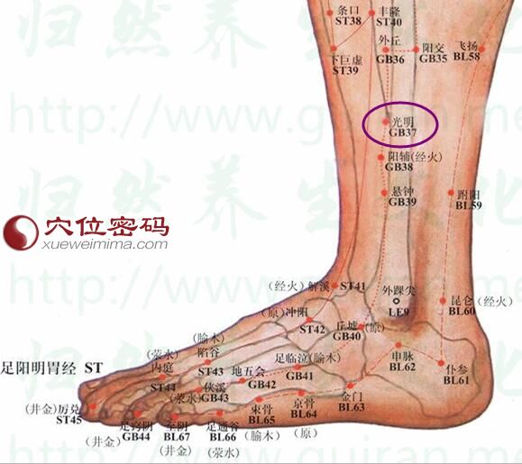 光明穴位位置图