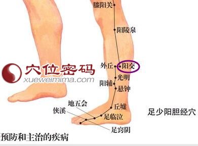 阳交穴位图
