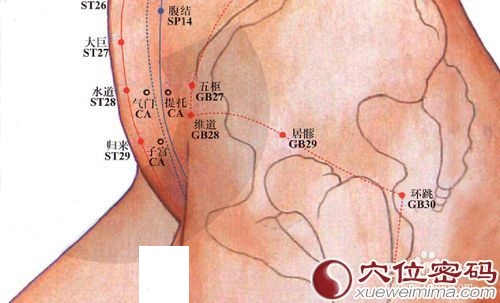 居髎穴的位置图