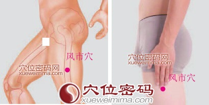 风市穴的准确位置图