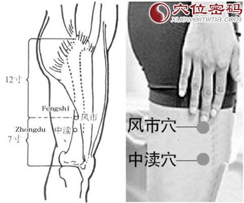 中渎穴位位置图