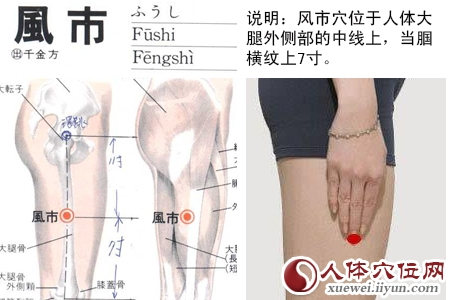 风市穴位位置图