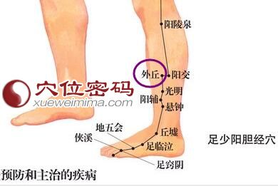 外丘穴位图
