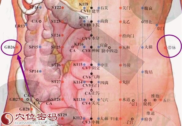 带脉穴的准确位置图