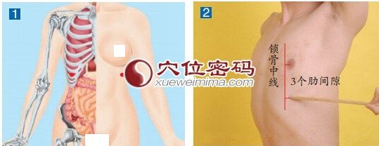 日月穴的准确位置图