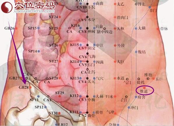 维道穴的准确位置图