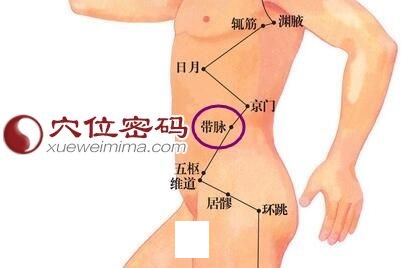 带脉穴的位置图