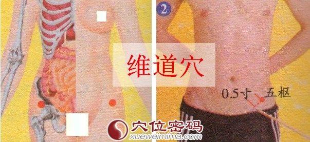 维道穴的准确位置图 维道穴的准确位置图