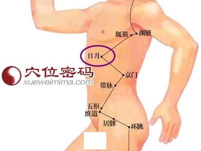 日月穴位位置图