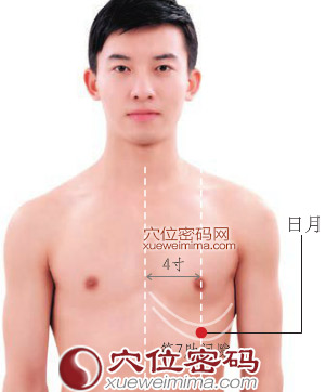 日月穴的准确位置图