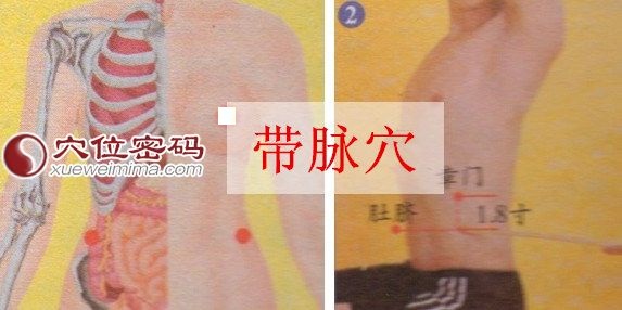 带脉穴的取穴方法示范图