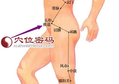 维道穴的位置图