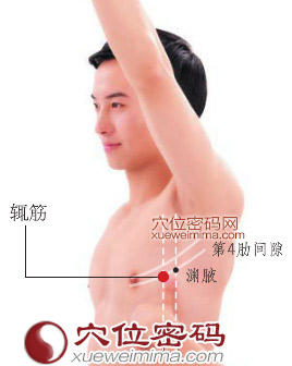 辄筋穴的准确位置图 辄筋穴的准确位置图