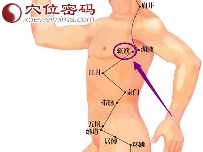 辄筋穴位图