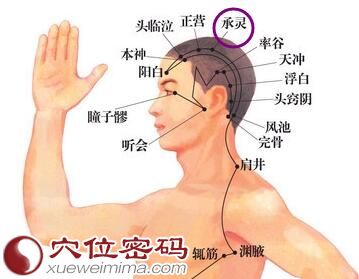 承灵穴位位置图