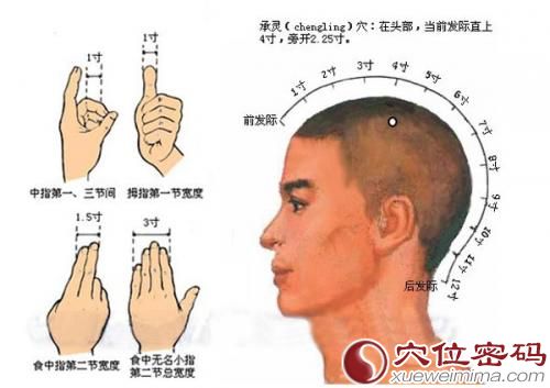 承灵穴位位置图