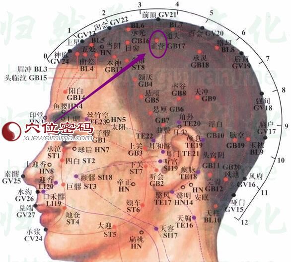 正营穴的准确位置图