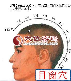 目窗穴位图