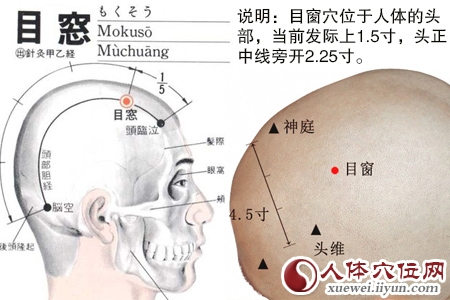 目窗穴的位置解剖分析图