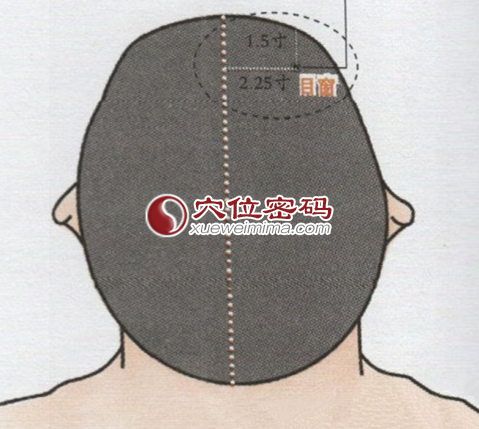 目窗穴的位置图