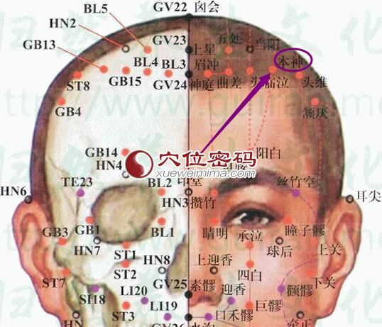 本神穴的准确位置图