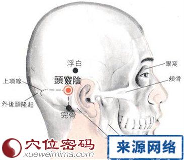 头窍阴穴的位置解剖分析图