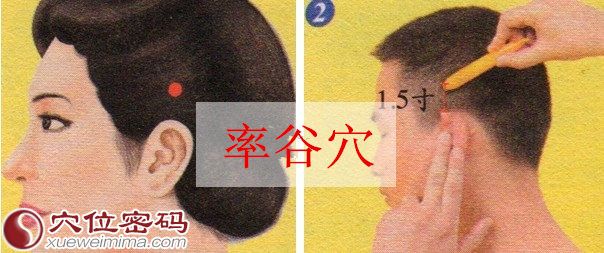 率谷穴位位置图