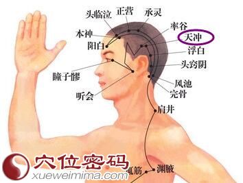 天冲穴位图