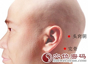 头窍阴穴
