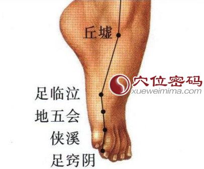 足临泣穴位位置图