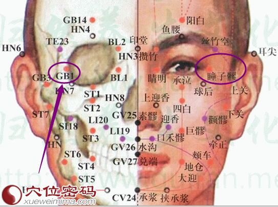 瞳子髎穴的准确位置图