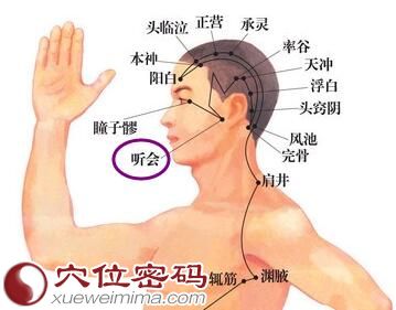 听会穴位位置图