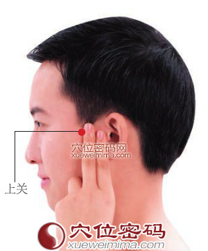 上关穴的准确位置图 上关穴的准确位置图