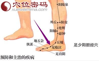 足临泣穴位图