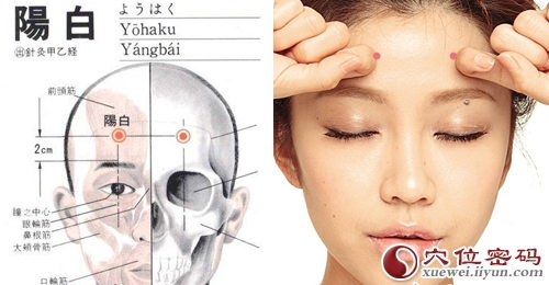 阳白穴位位置图