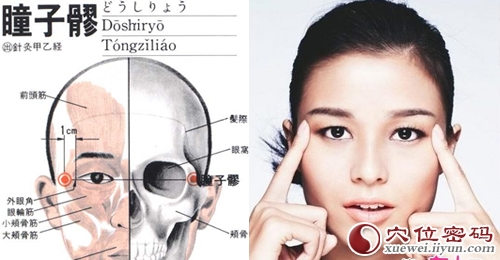 瞳子髎穴位图