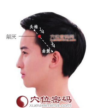 颔厌穴的准确位置图