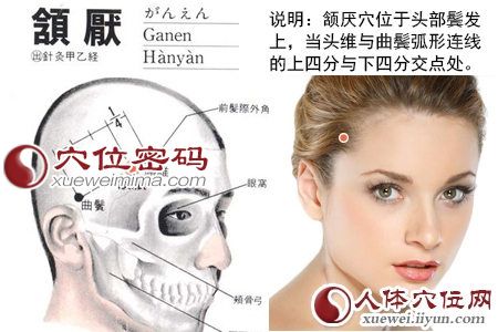 颔厌穴位图