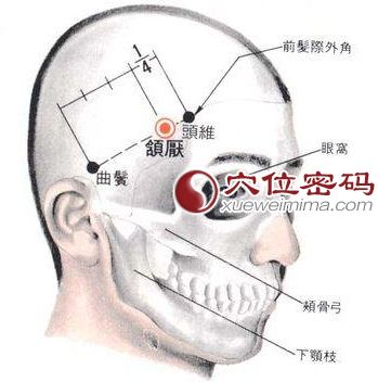 颔厌穴的位置解剖分析图