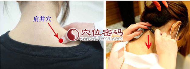 肩井穴位图